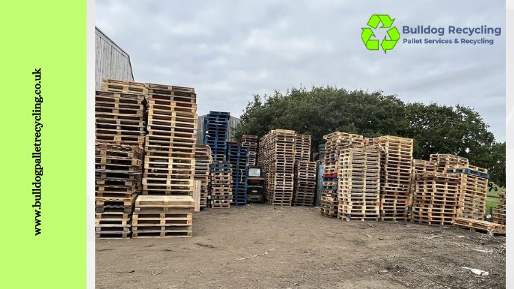 Wooden Pallets