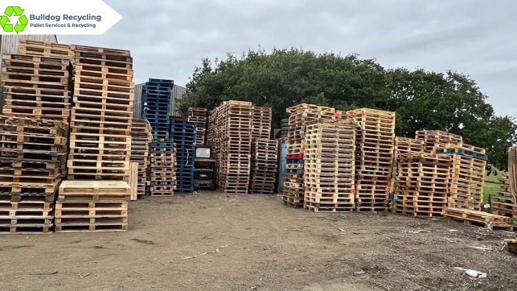 Wood Pallet Recycling