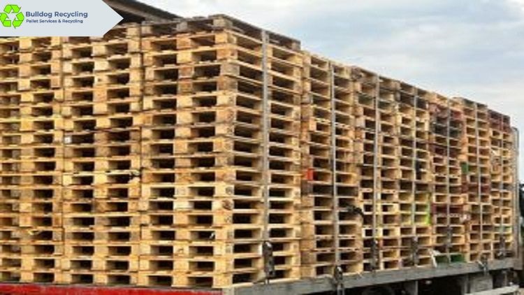 How To Identify the Pallets That Are Ready for Recycling?