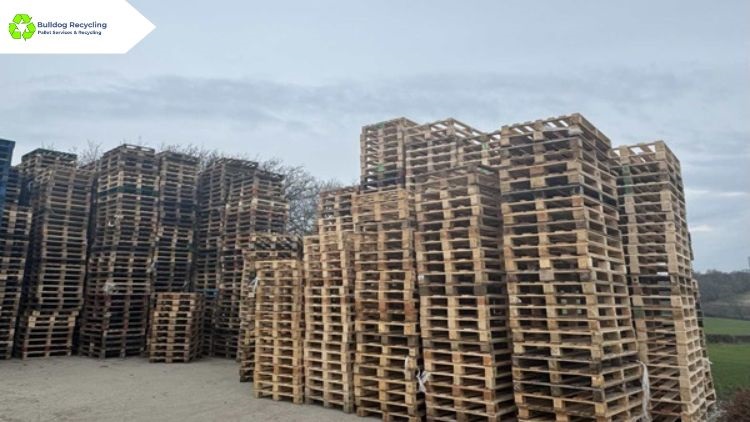 Circular Economy of Biomass: Where Wood Pellet Recycling Fits In