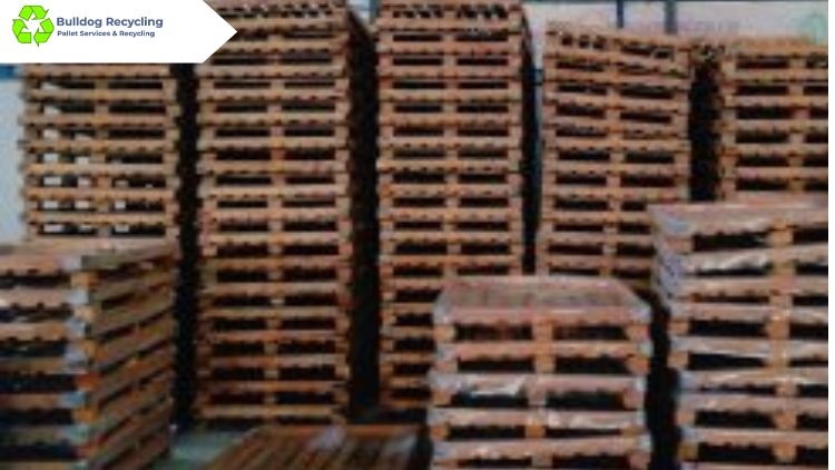 A Complete Guide to the Process of Recycling Wooden Pallets