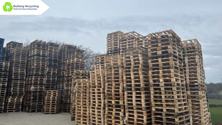 Why Is It a Good Idea to Commit to Pallet Recycling?